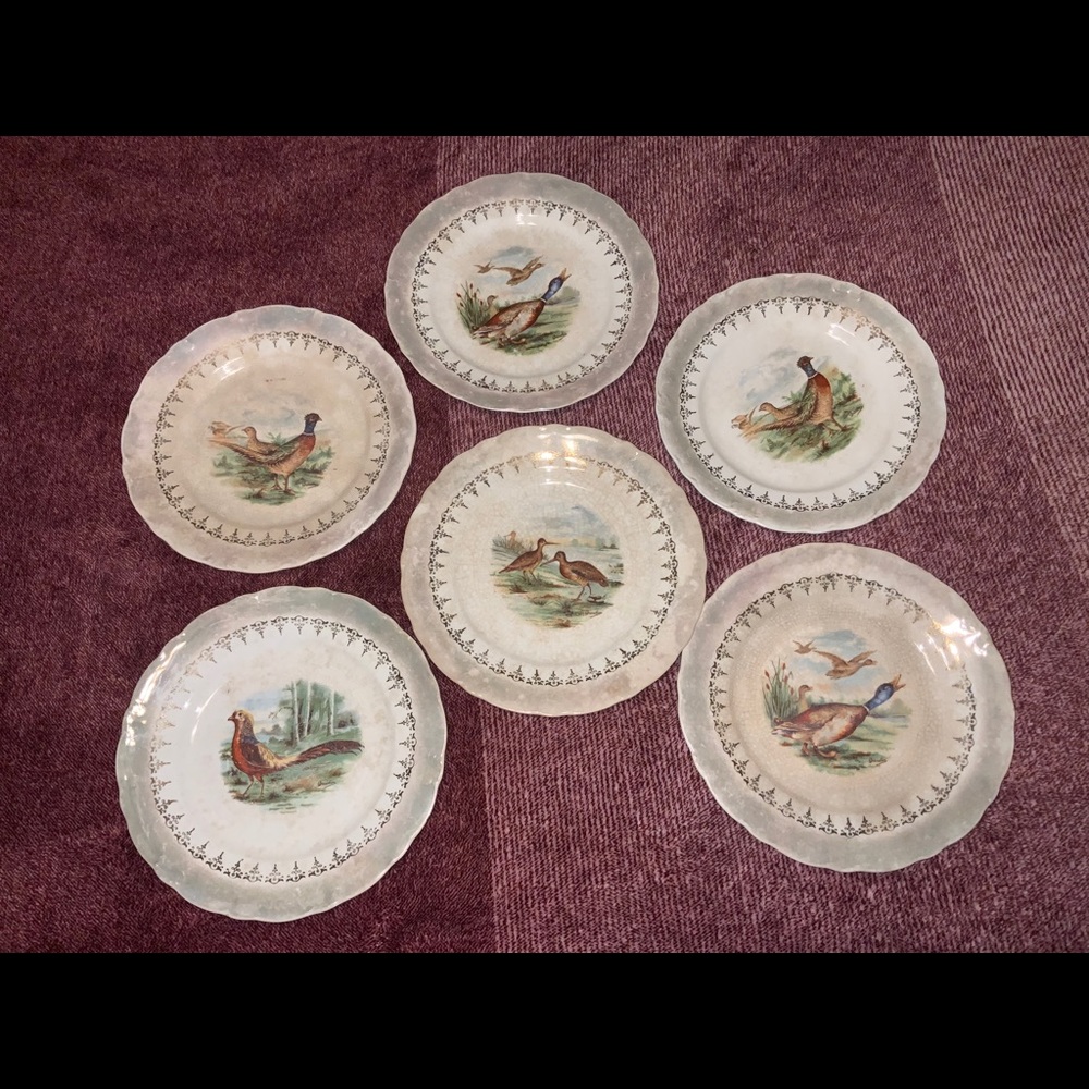 D.E.McNICOL EAST LIVERPOOL.O.  6 plates. 8 1/2 in.